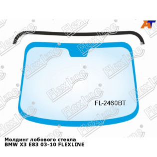 Молдинг лобового стекла BMW X3 E83 03-10 FLEXLINE